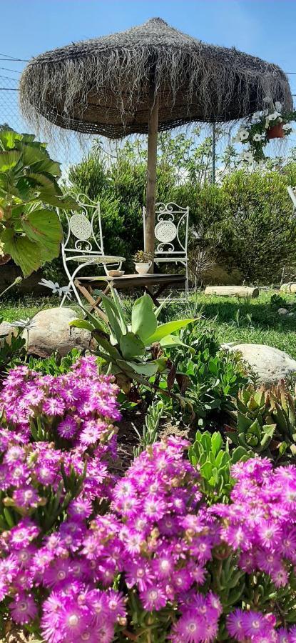 Blacksheep Sagres Guesthouse & Surf Екстер'єр фото