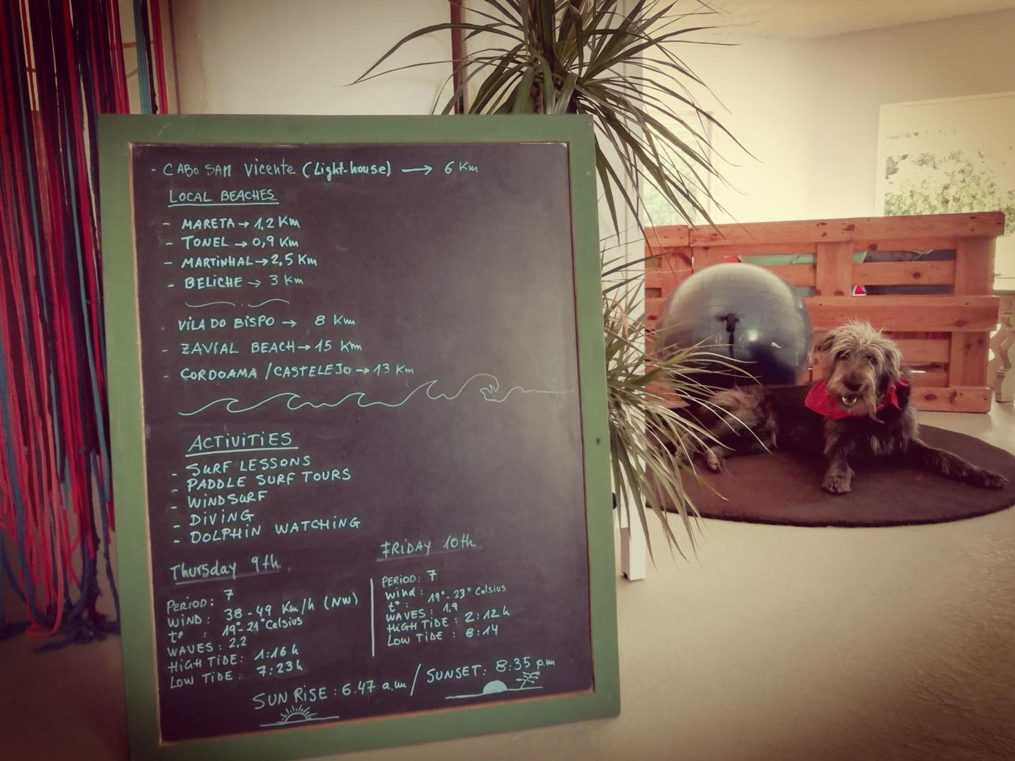 Blacksheep Sagres Guesthouse & Surf Екстер'єр фото